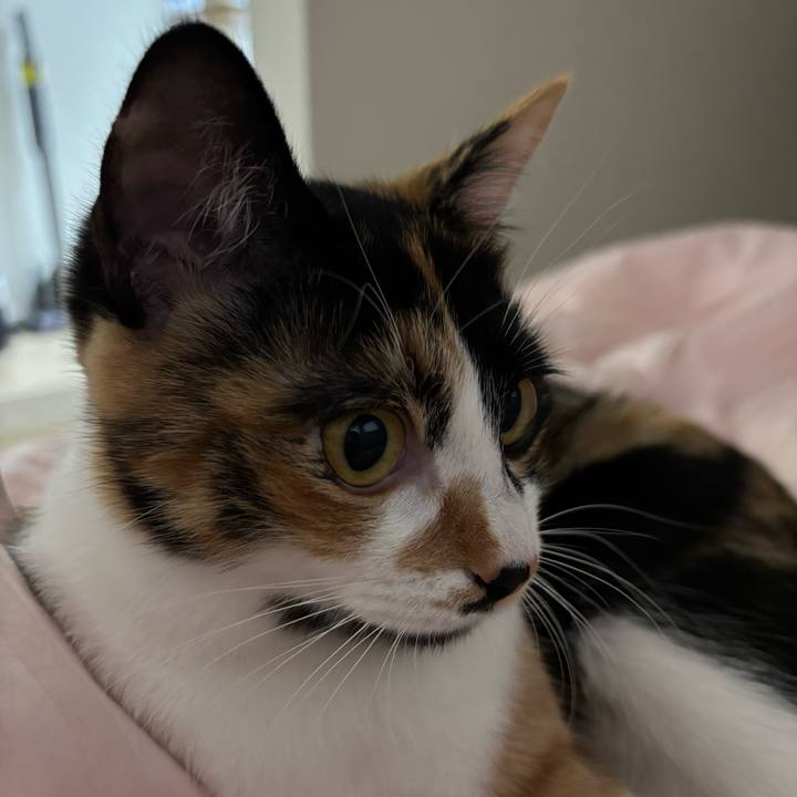 892b5283 bf05 4c1e bd0e 47740e475c28 1765689979685