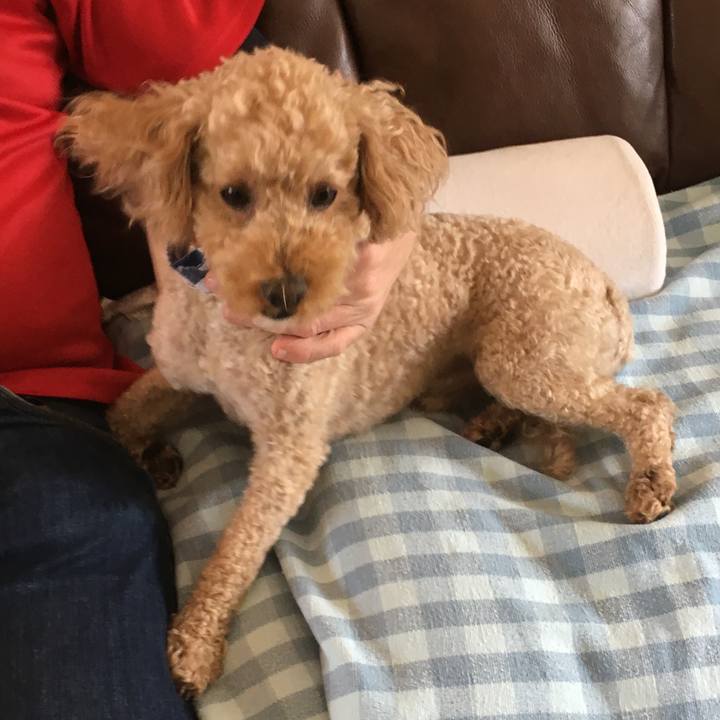 892b5d16 f688 430c a34c 10d90cbea6a0 1540073037553