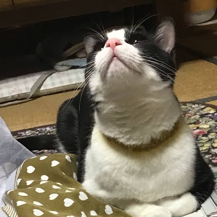 892bdc39 d2fe 412d 9795 4e7cbaad377a 1649413649388