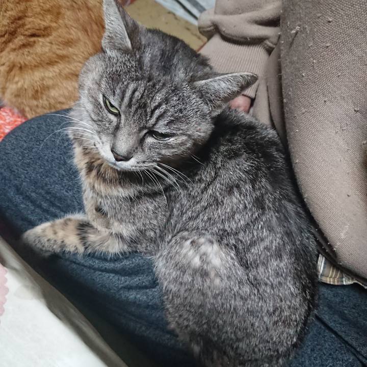 892bf4bc f68d 4aa3 9bab d30541cf29a7 1579641023729