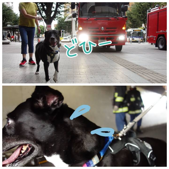 892bf4fd 0a86 4f36 a972 03bbd9241b8c 1662776399531