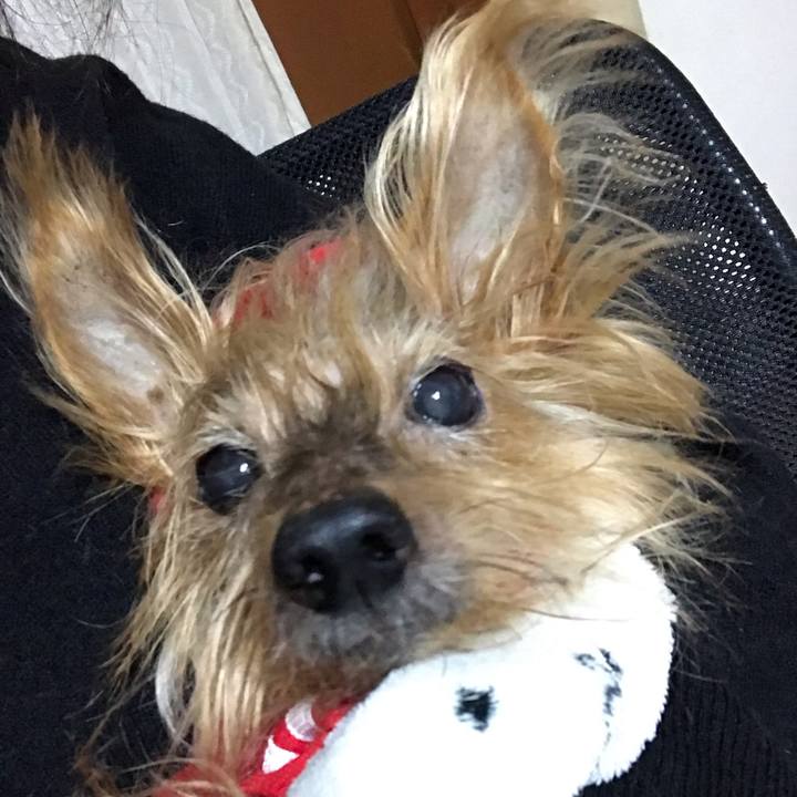 892bf7df 3ea2 470b 9066 92766a8f56d3 1545907304076