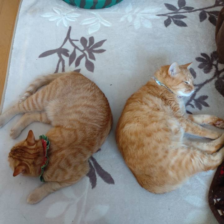 892c2ab7 8711 4182 a4b9 7104d7680d4c 1643273717273