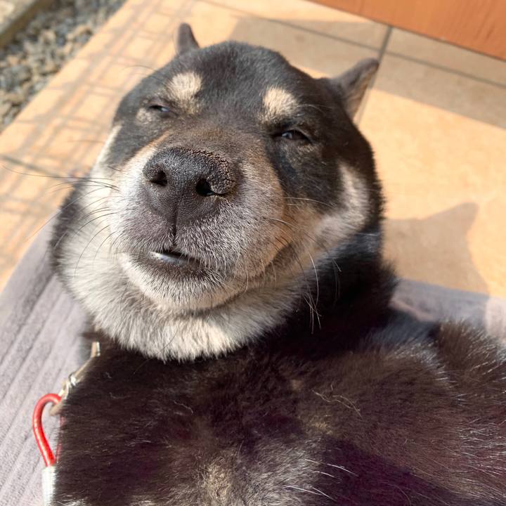 892c5a51 a4c8 4164 a976 9a26e28bc167 1587013760861