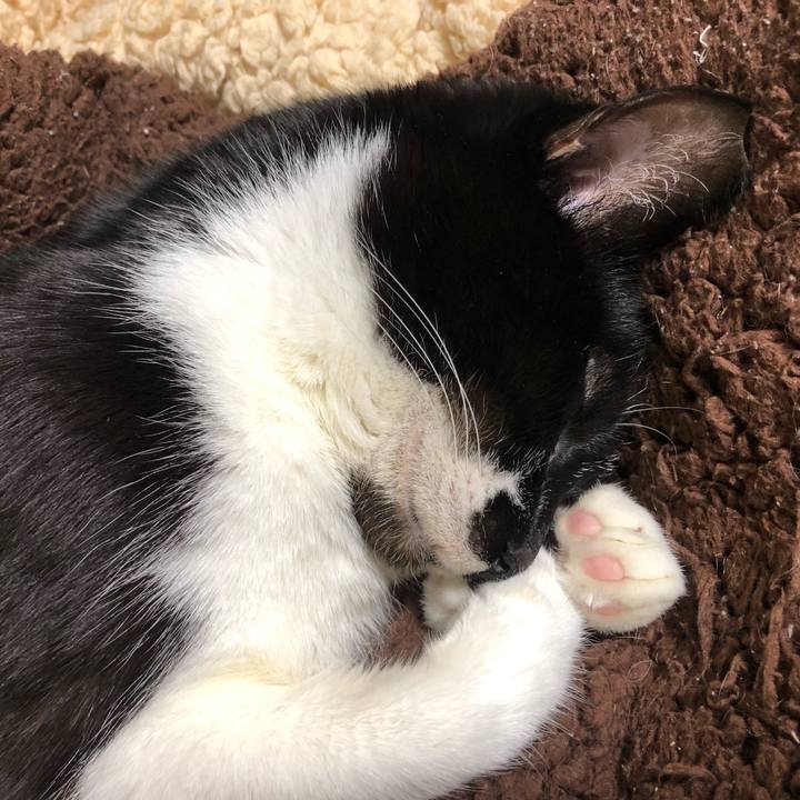 892c9e88 5562 4681 b750 8af3239ba92b 1643057810773