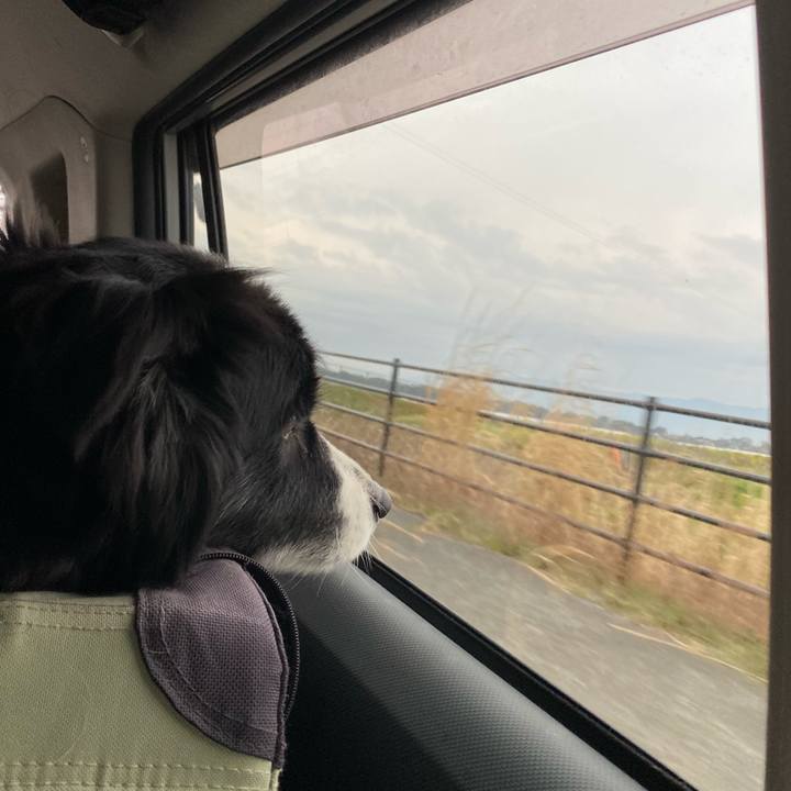 892cacaf b919 41a0 bccb 395c71834219 1647986768201