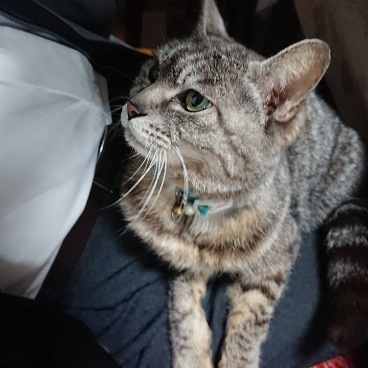 892cb0ca c945 4302 b6a8 5324893be4ed 1556231944397