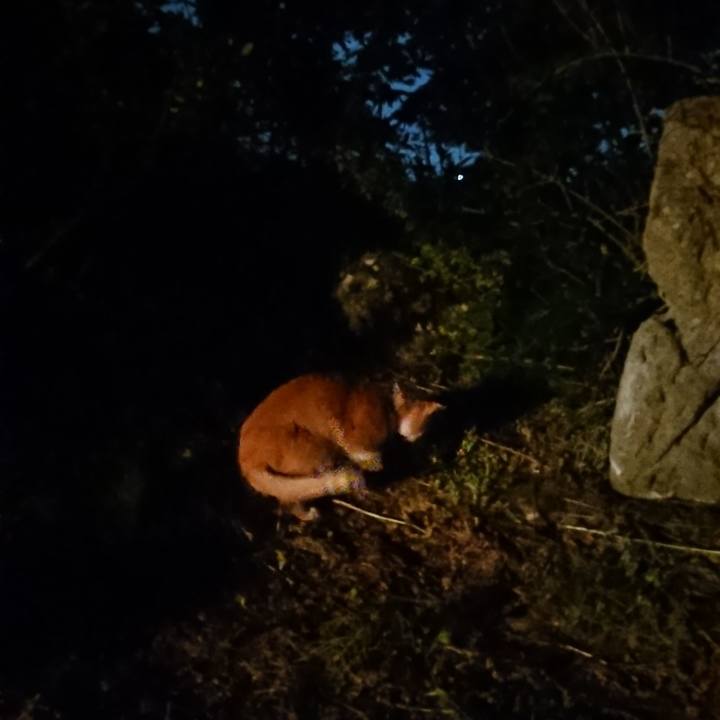 892cbf49 82a2 4a4d ad58 71b5f994d675 1591271128068