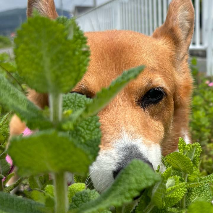 892cc2ab ea6c 48f5 b450 bfb0a5ed2686 1747883878078