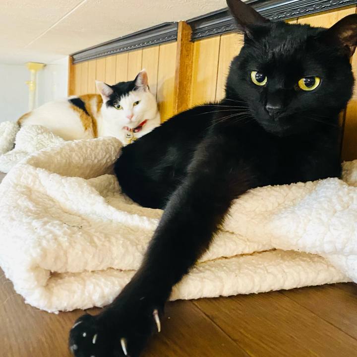 892cda28 9425 400a 9bdb d17631e01de5 1711630264914