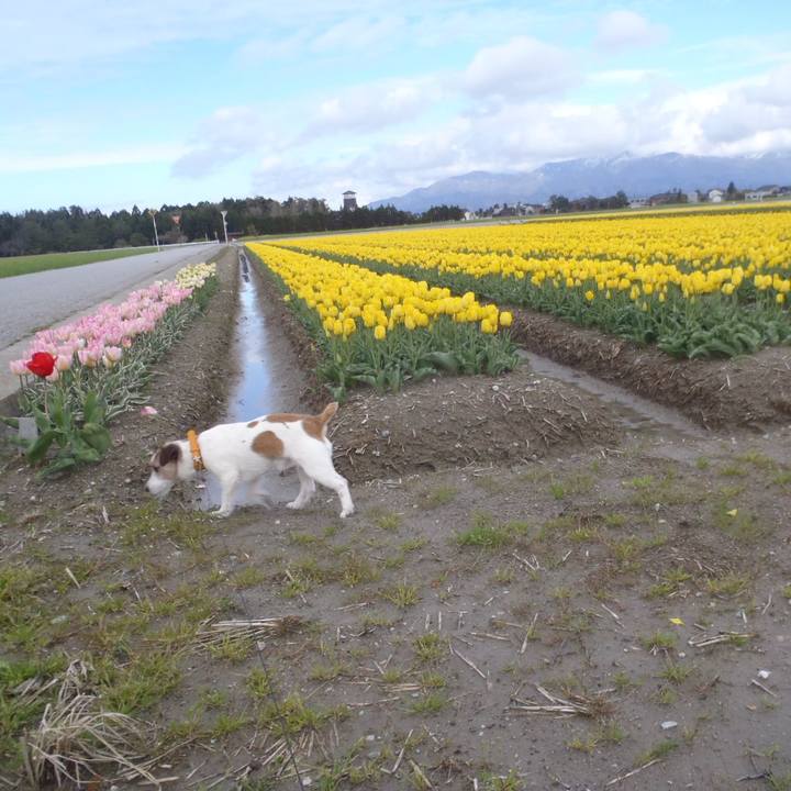 892ce1b2 4fb5 4317 b26a 2602c9ba7640 1526645953632