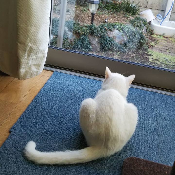 892cff91 b6a8 481f 8dec 592621aac0d8 1642199877049