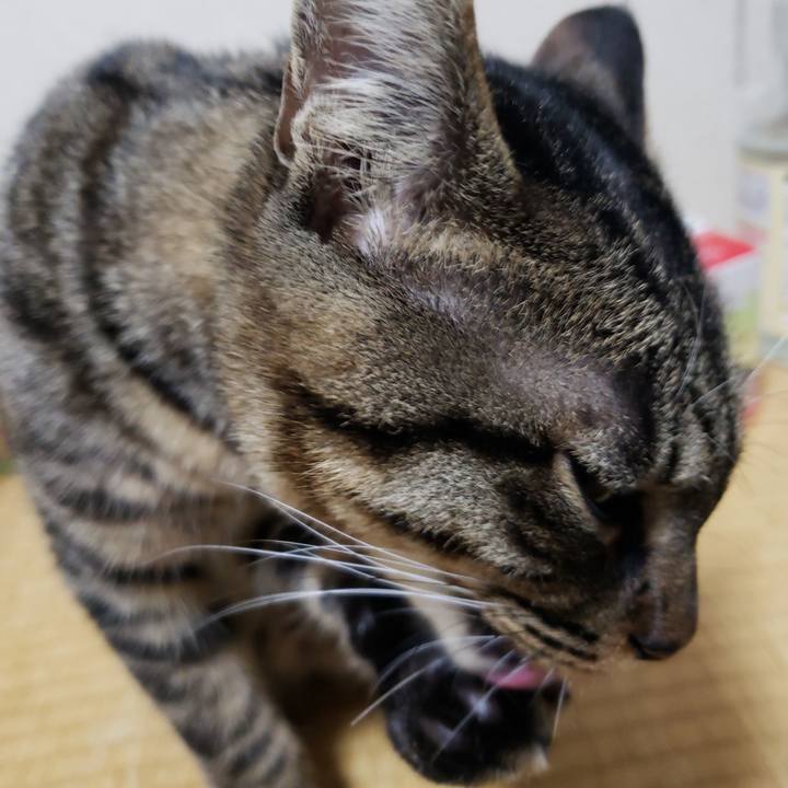 892d090b f251 47de 88fc acbebdde9a4d 1547302408069