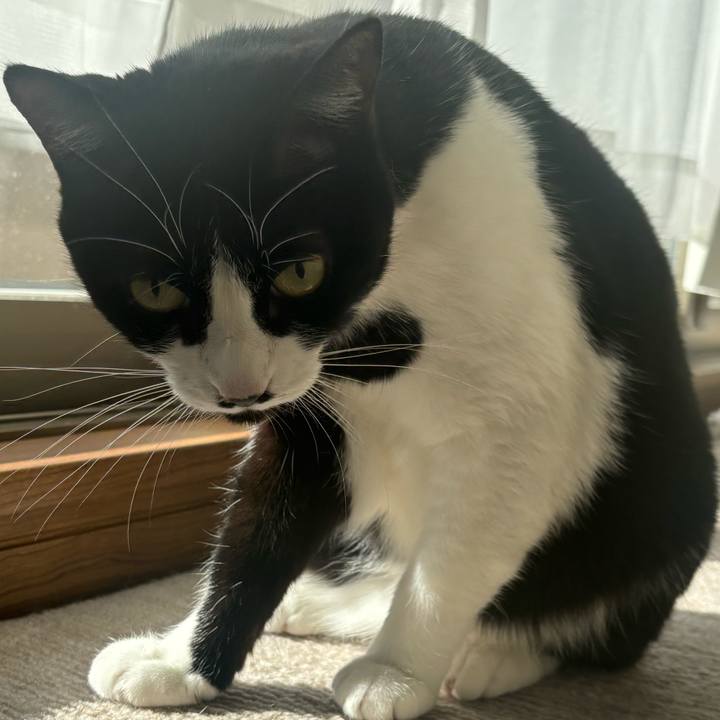 892d1560 55d3 4511 8864 0688c83b77ad 1767836953591