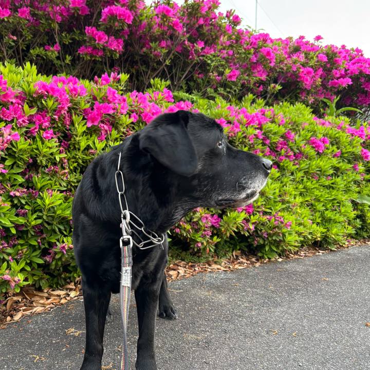 892d3403 b2b1 49d2 82e0 2c06cc8824fc 1776687145314