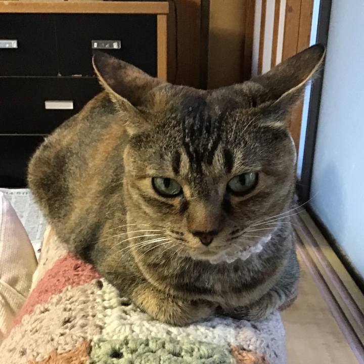 892d592f b054 4a4f be04 dd94ed1b2d68 1654162713295