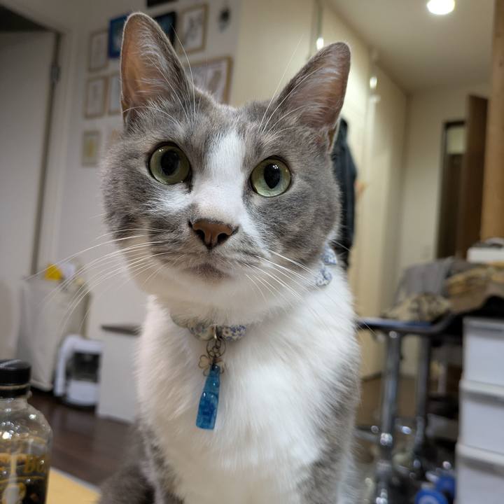 892daf5a 4897 4a24 a7d4 f85a88489033 1758703940192