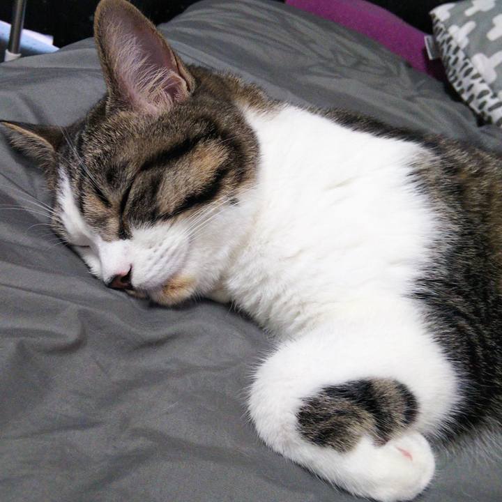 892db37c 54c4 422f 8dd5 0f5a3b08ecfe 1624612912939