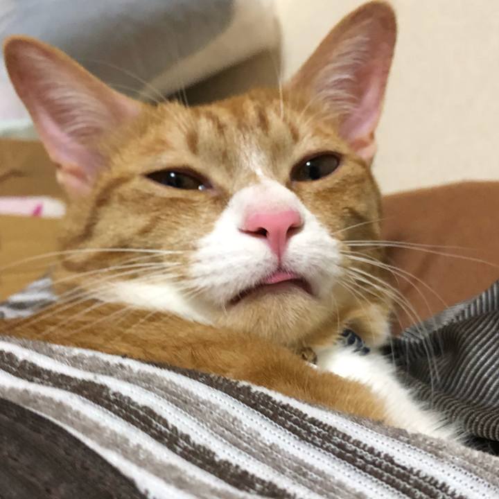 892dc382 07da 450e a4a8 383ea5231c2f 1559200675104