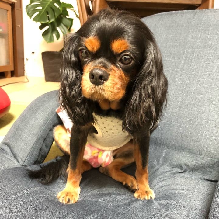 892dd23d 1956 4220 a4eb bd7323d2226a 1535332484218