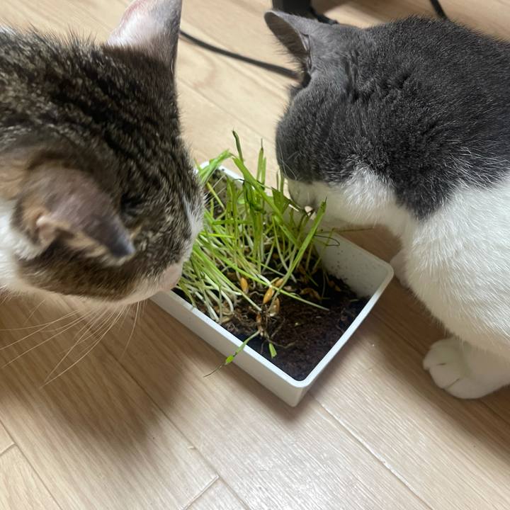 892de0e7 0c0f 48a3 af8a 249b704acad5 1626079573747