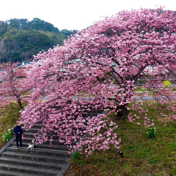 892e05ba addd 421f 96ee a20f1894f334 1613194722828