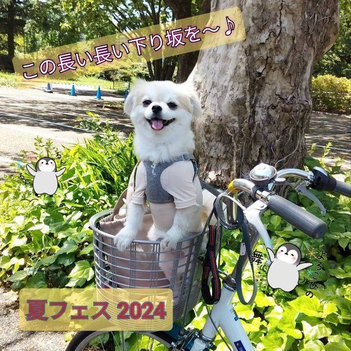 892e2f42 eb0b 4175 ab69 bb68fc7415cf 1723963265343