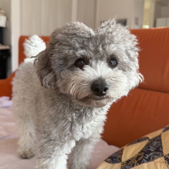 892e3e68 1c96 4bda 86db a84830ef3136 1772024840828