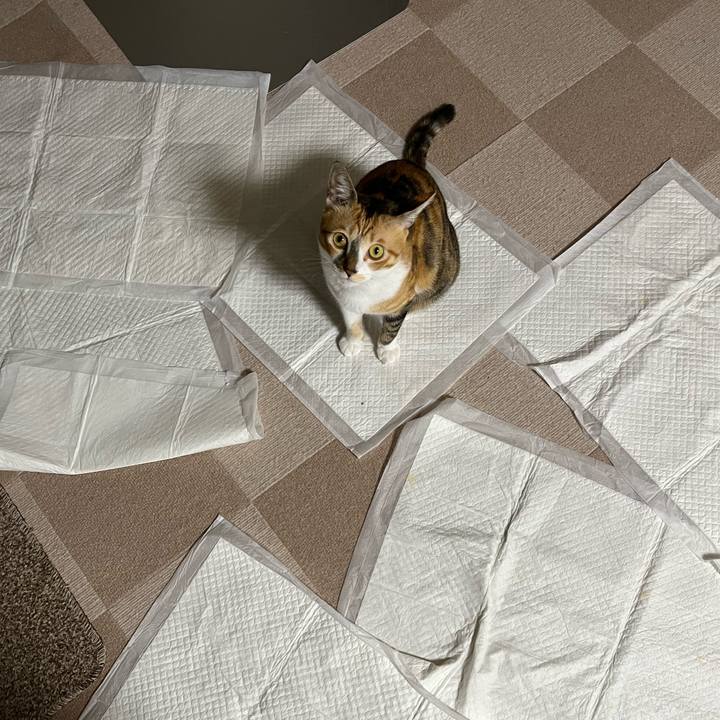 892e51f2 9e61 42b6 ab81 116e7f71f72a 1695593468872