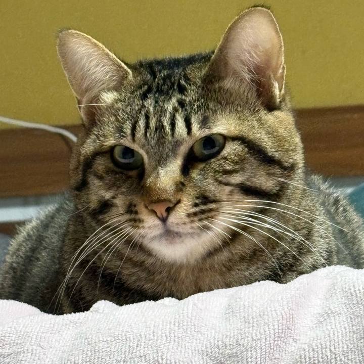 892ea2a7 1256 4b1c a06d 5e4bd64e21a3 1763159006456