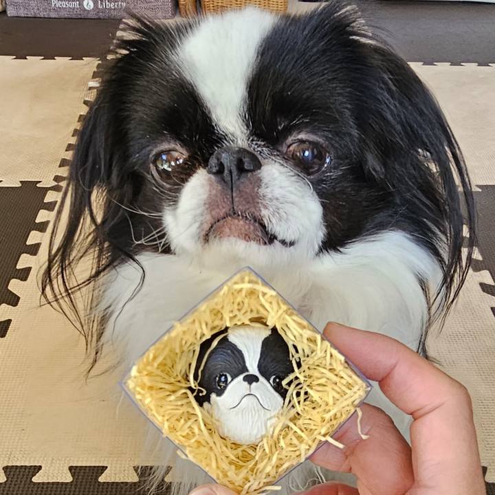 892eb06a a3c6 4a25 b00a 6645d718aec0 1733916954160