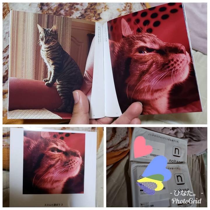 892eb6ed 2459 4efe 925b 7ab05e30db0e 1545806263806