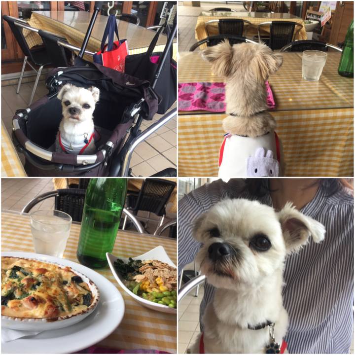 892ee041 e5e4 41ae af15 780455a14abb 1538564091978