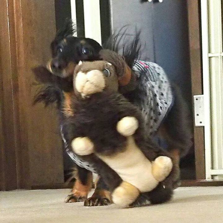 892f4f65 5e91 4718 a948 8384a0ecc079 1510623171997