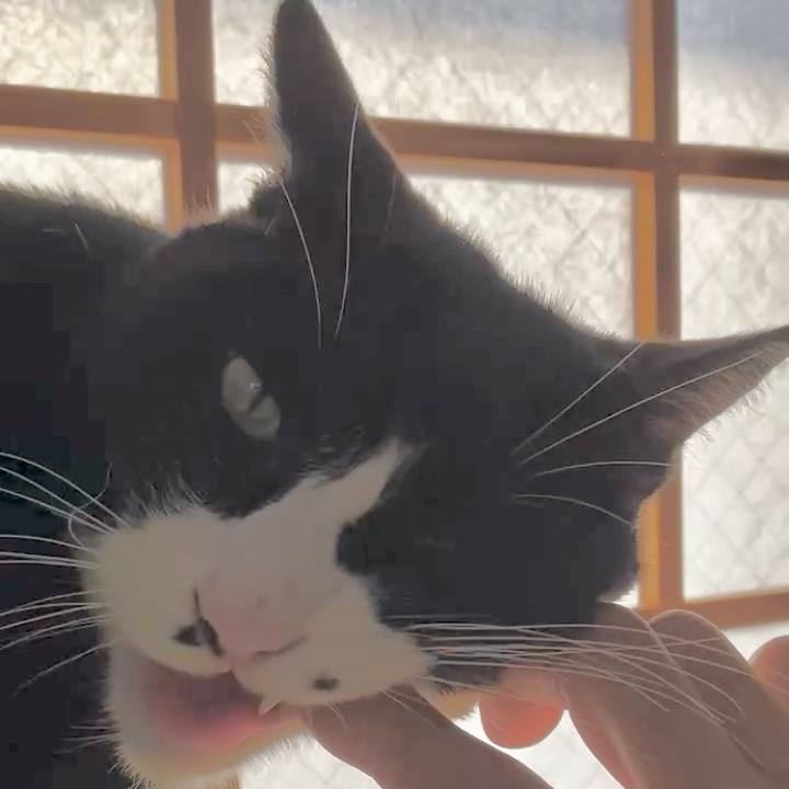 892f511d a1d9 493f 8fdb ee14d90477c5 1733451369473