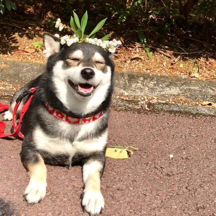 892f5e7d ecac 41b4 8618 0558db11b0d7 1521423686203