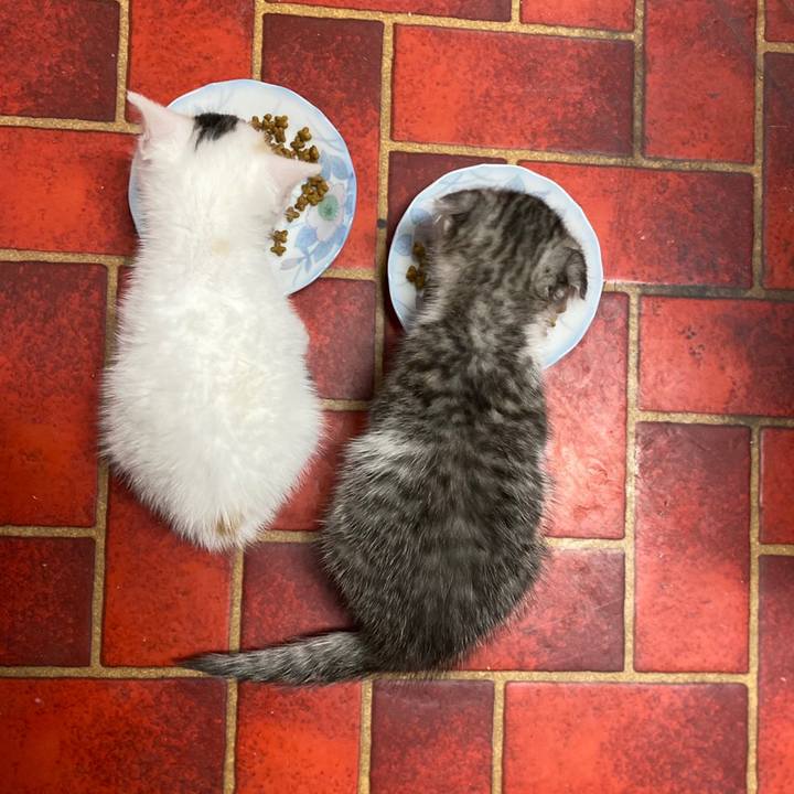 892fb1a9 8de7 4ed4 bbe1 e227d3aa2cec 1592260111219