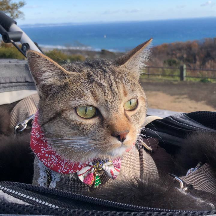 892fb702 bae2 41ef a6ba 298746526eee 1671351124858