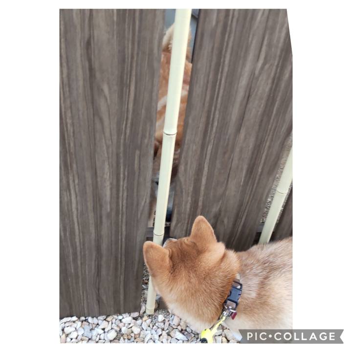 892fbeae a450 4075 bb7f 8b621423d575 1678234442738