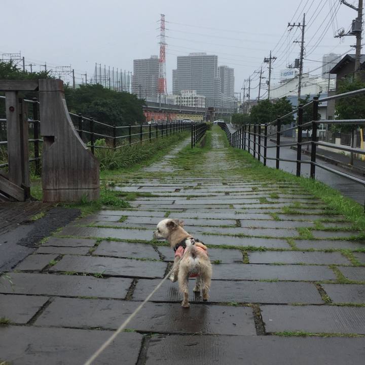 892fec78 b0be 45e7 bdef 4b722e8f11a0 1562499927460