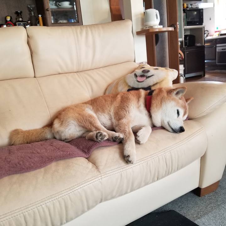 892ff343 5acc 45c9 becf 5c240932580b 1743905769900