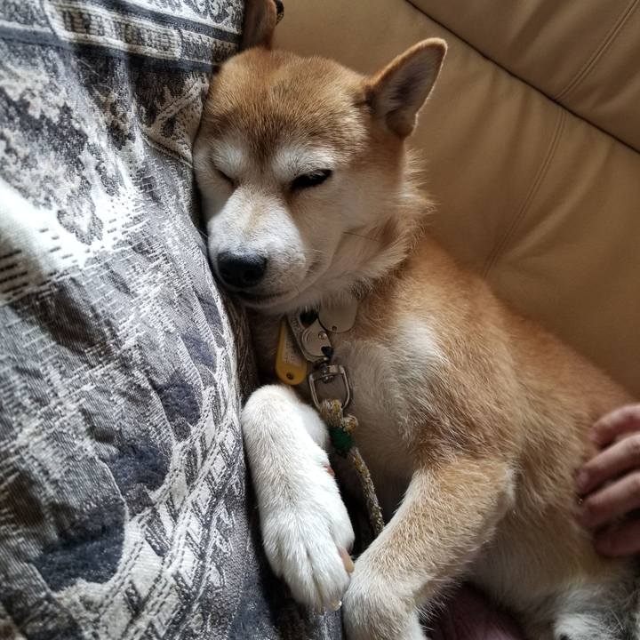 8930069b 2524 48ac 9b9f ec3479aec8c4 1564457890672