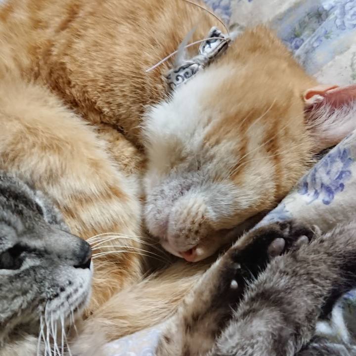 8930241c ad87 42a2 8852 b3df58844721 1589371150824