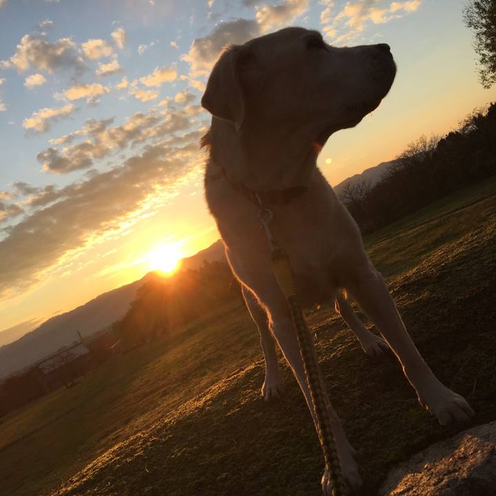 8930246f c6ae 48d2 bc76 1c3b20554852 1631792471319