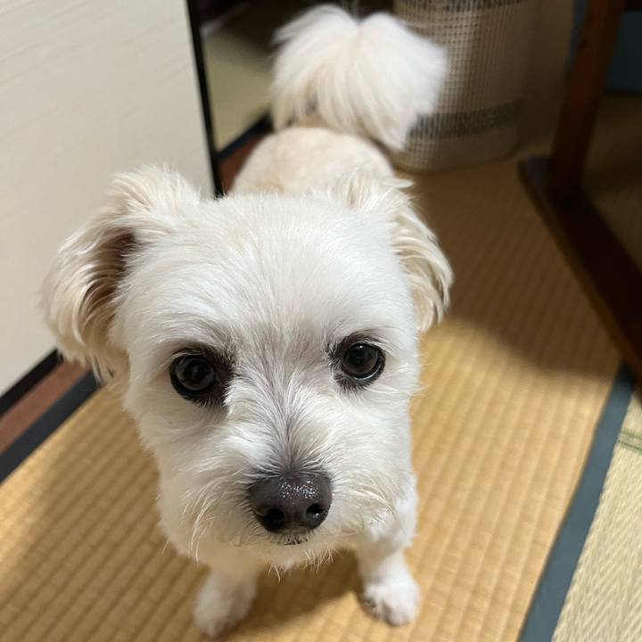 89304ab6 4e85 494f 81a2 10ffff51ea81 1656329295879