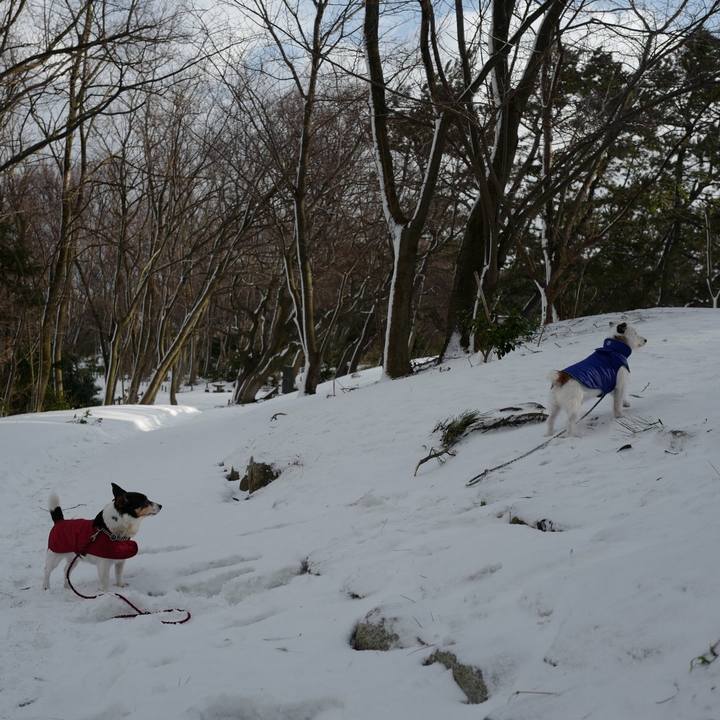 89305d66 f6dd 4d6f a5ea 68c7b0417ffb 1518929621915