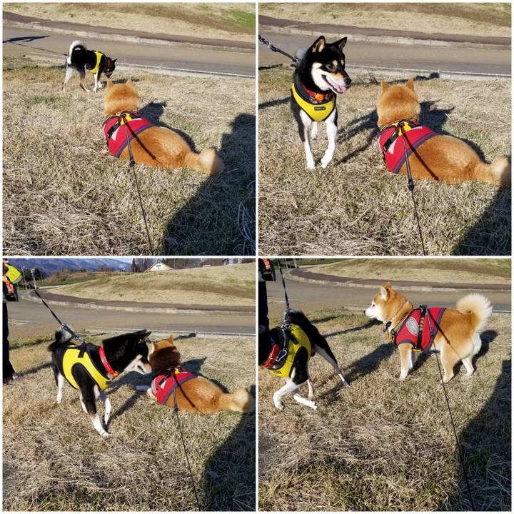 89306f30 bd68 4635 b703 3d3088effb95 1607232597933