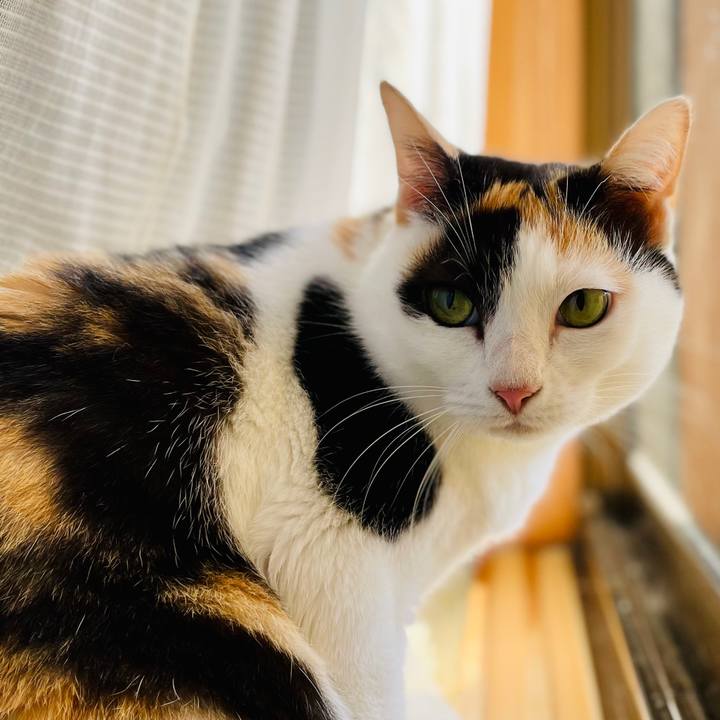 89308696 2082 406d abc1 b915954ff8e7 1606357186361