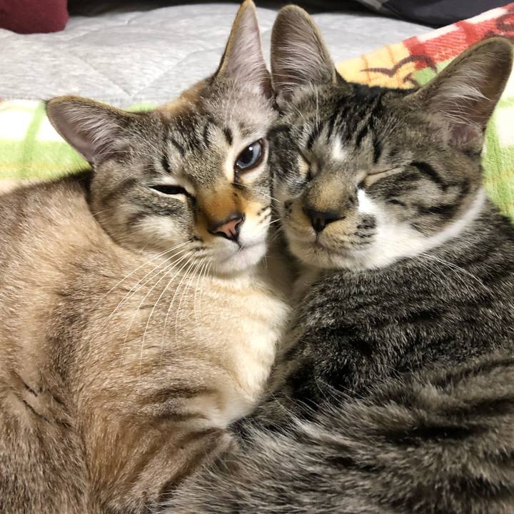 8930a71b 4d05 42e7 afb5 26d6638b243d 1648989712384