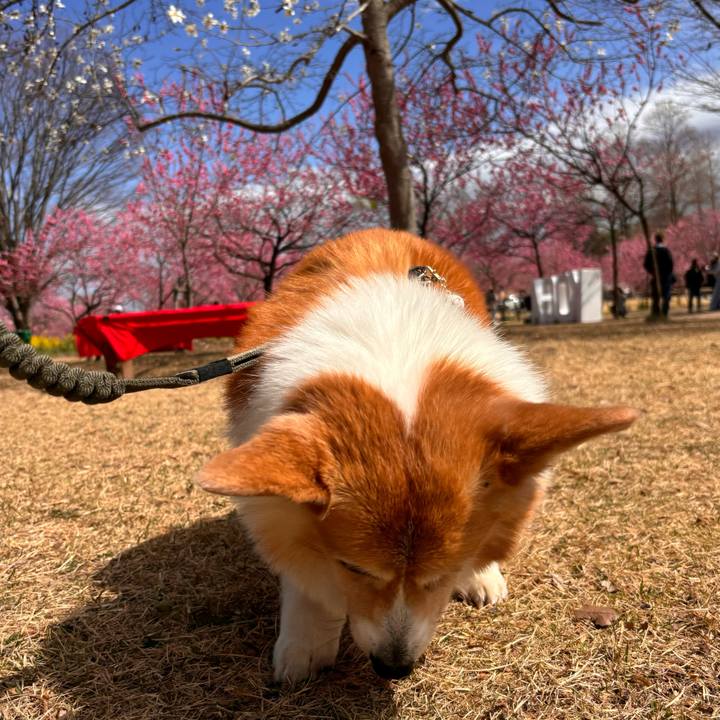 8930a87d 5b08 4630 8e15 fc9109ae808a 1773901637309